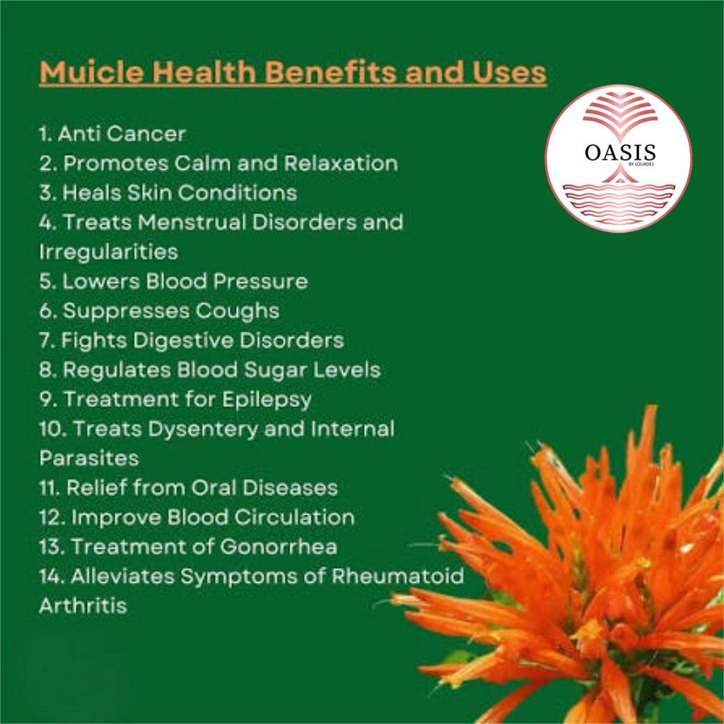 Oasis Muicle Dried Leaves Herbal Tea 4oz - Refreshing Natural Tea for Everyday & Special Occasions, Loose Leaves for Easy Brewing Flavor Spice