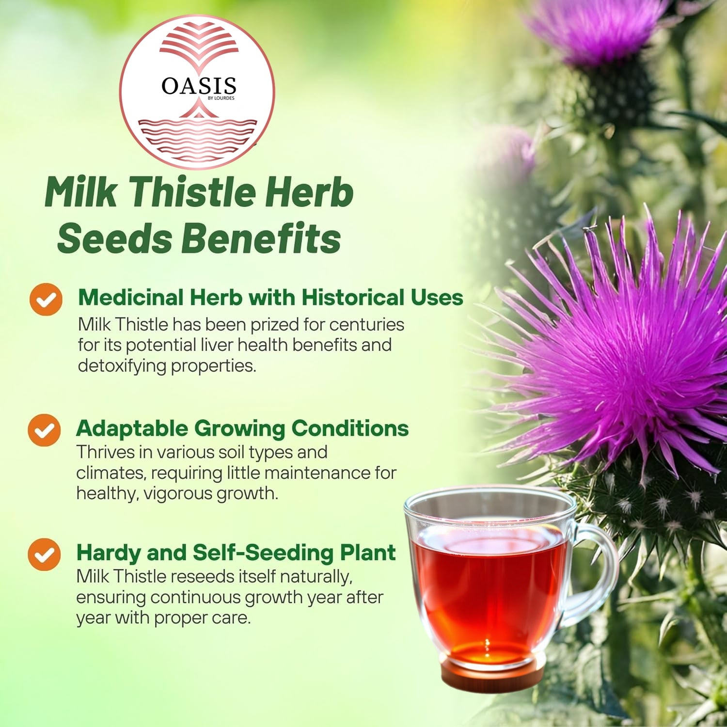 Oasis  Milk Thistle  Dried Leaves Herbal Tea 4pz - Cardo Mariano  Everyday & Special Occasions